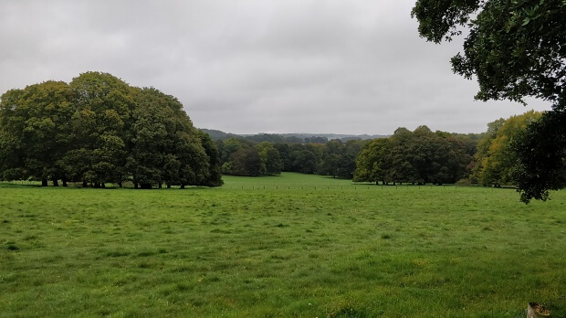 Hinton Ampner estate: Grassland in foreground, with trees in background